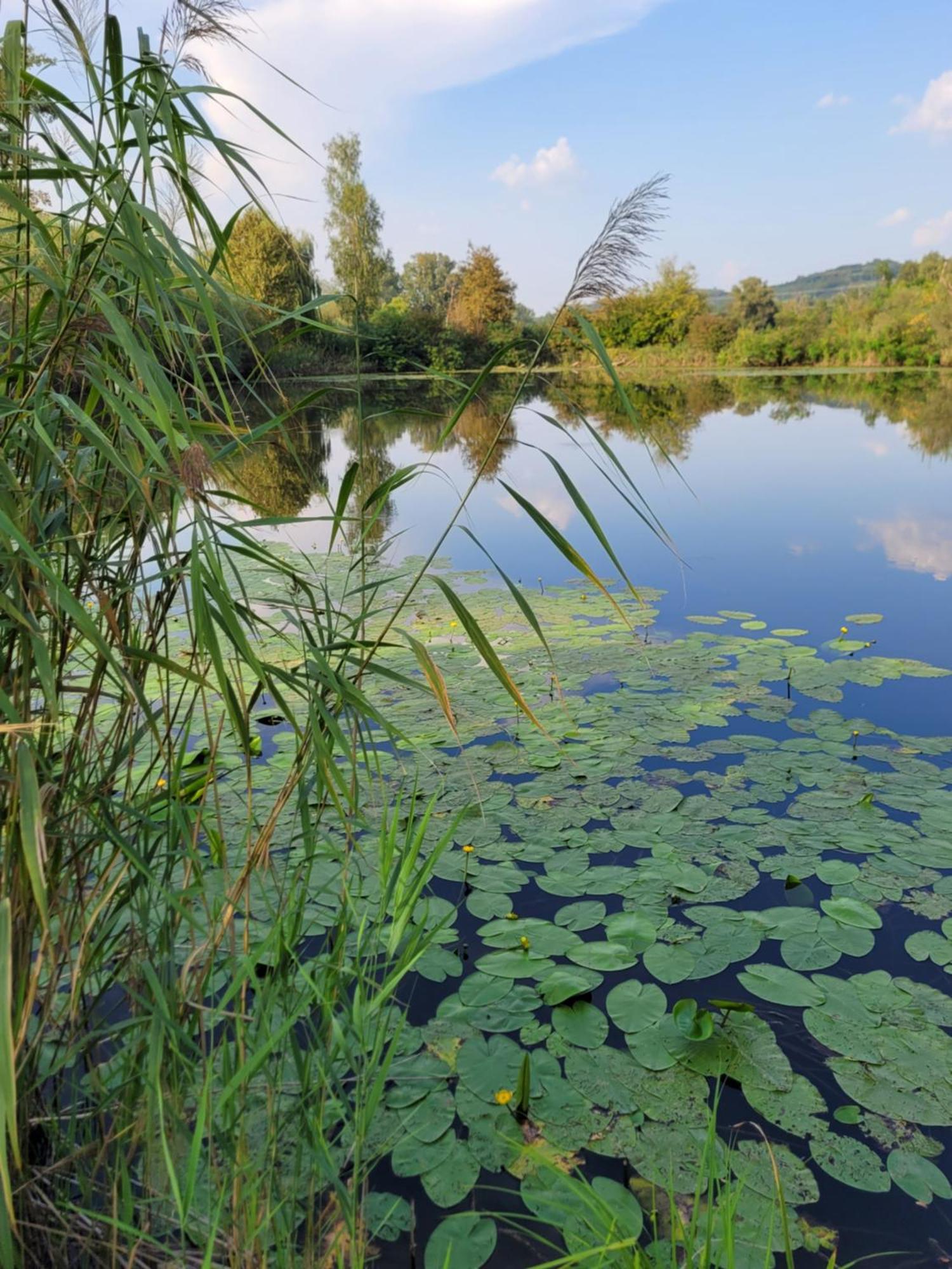 Vila Manipura Szemenyecsörnye Exteriér fotografie