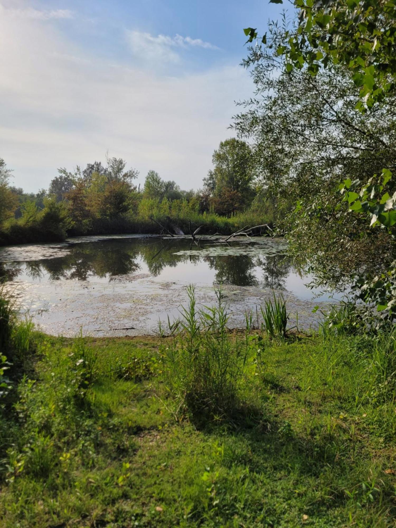 Vila Manipura Szemenyecsörnye Exteriér fotografie