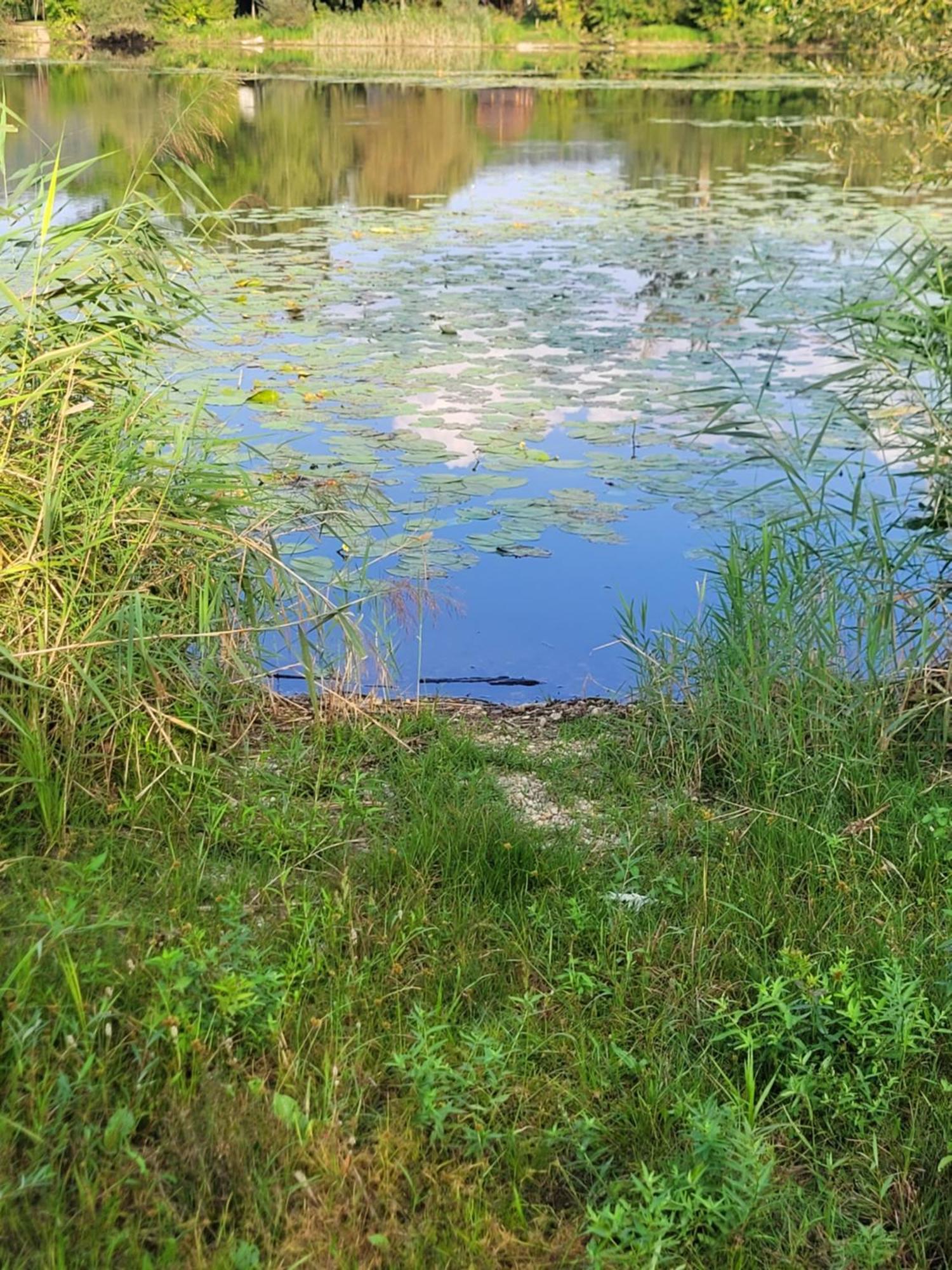 Vila Manipura Szemenyecsörnye Exteriér fotografie
